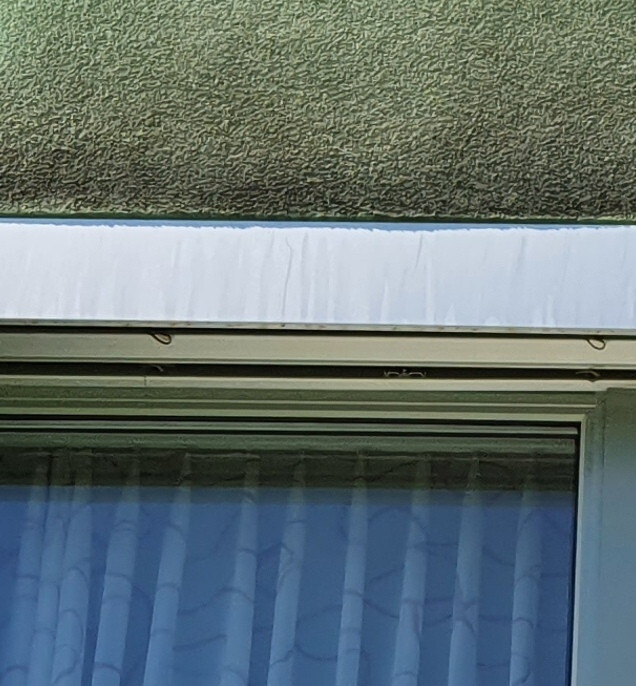 Befallene Stelle von Flechten oberhalb eines Wohnzimmerfenster.